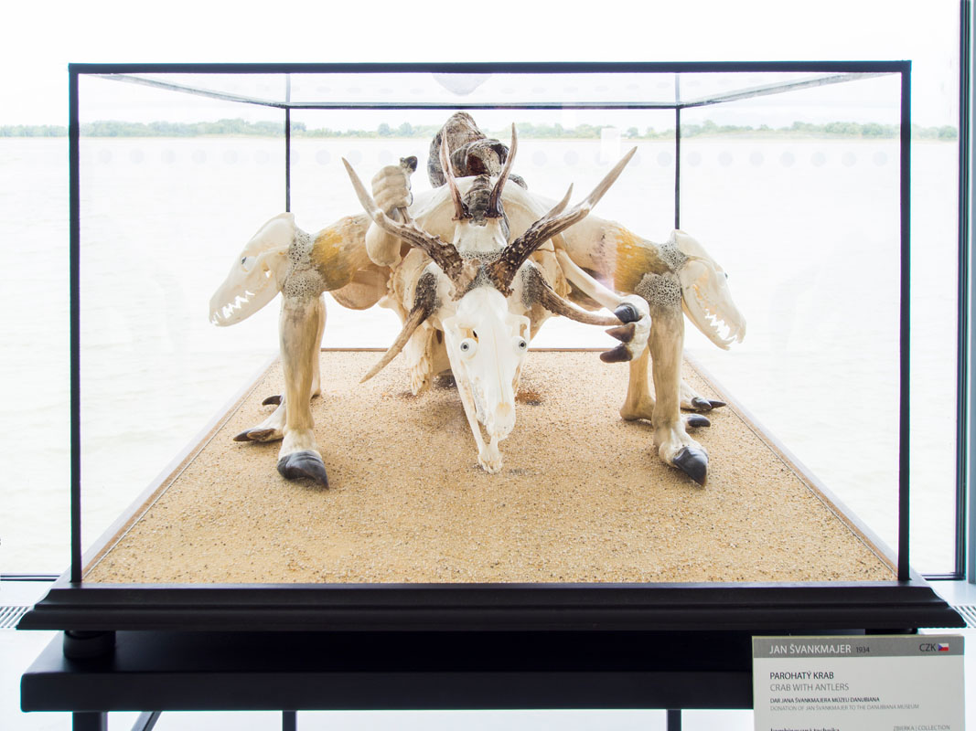 Jan Švankmajer (CZ) – Crab with Antlers | 2008 | mixed media | 70 x 100 x 40 cm