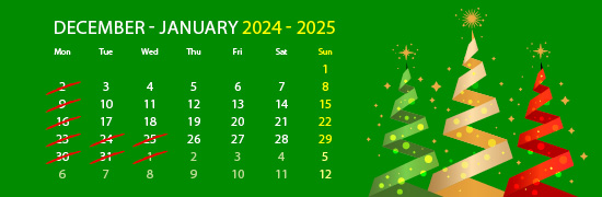 Christmas calendar 2024